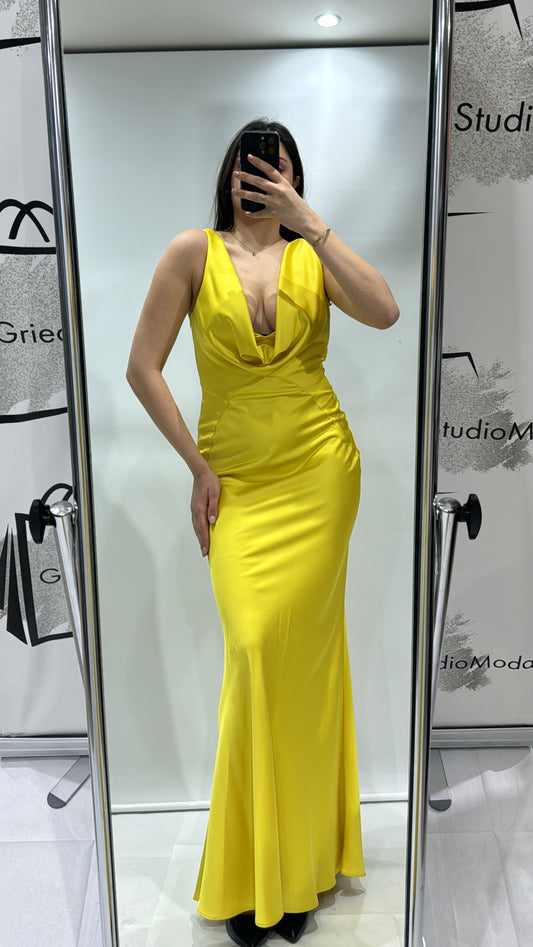 Dress Pinko Arzigliano